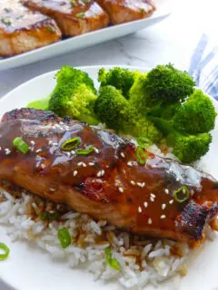 cropped-SalmonTeriyaki_PP5-scaled-1.jpg