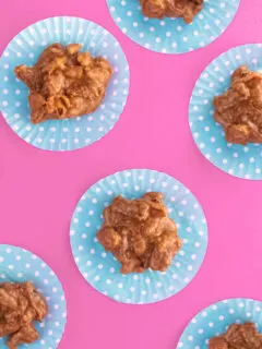 cropped-PecanPralines_Hero_v2.jpg